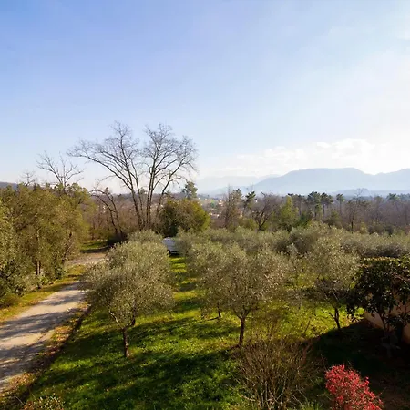 Enza Apartment Lucca
